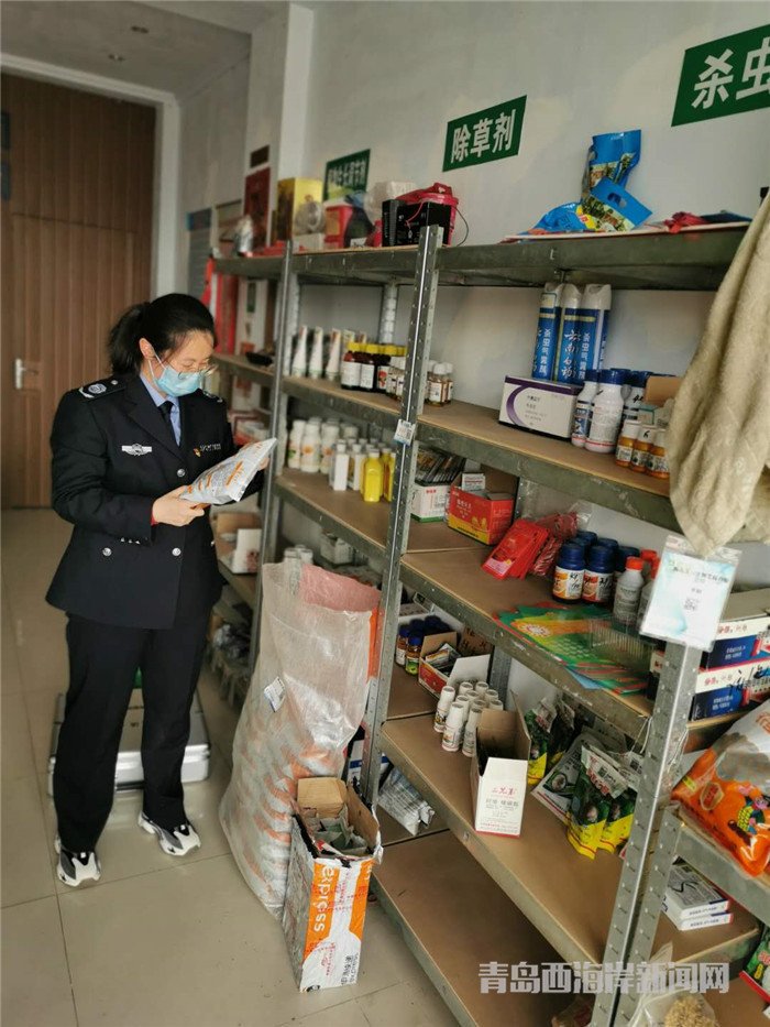 圖為西海岸新區(qū)農(nóng)業(yè)綜合行政執(zhí)法大隊執(zhí)法隊員在查看玉米種子包裝。.jpg